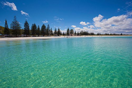 Top 10 Things To See & Do In Albany